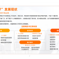 报告图册
